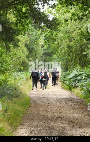 St Catherine Hill Dorset Foto Stock