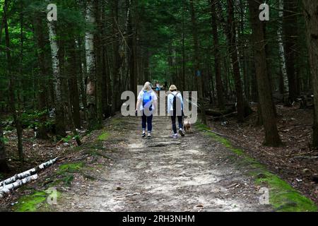 Senior Hiking the Lye Brook Falls Trail, Manchester, Vermont Foto Stock