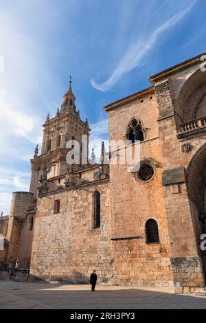 Europa, Spagna, Castiglia e León, Burgo de Osma, la Cattedrale di Burgo de Osma Foto Stock
