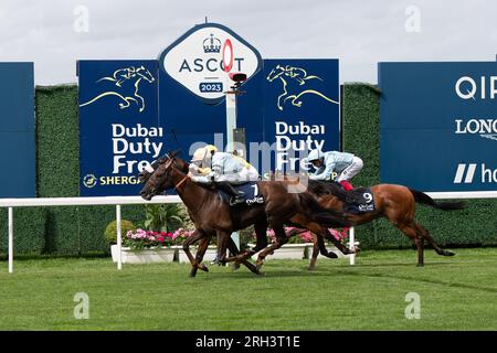 Ascot, Berkshire, Regno Unito. 12 agosto 2023. Horse Perotto (numero 7) vince il Dubai Duty Free Shergar Cup Mile all'ippodromo di Ascot. Proprietario Halcyon Throughbreds. Allenatore Roger Varian, Newmarket. Horse Fox tal guidato dal fantino Joao Moreira (sete gialle) è arrivato secondo e Horse EmpireStateOfMind guidato dal fantino Frankie Dettori è arrivato terzo. Credito: Maureen McLean/Alamy Live News Foto Stock