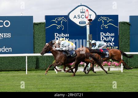 Ascot, Berkshire, Regno Unito. 12 agosto 2023. Horse Perotto (numero 7) vince il Dubai Duty Free Shergar Cup Mile all'ippodromo di Ascot. Proprietario Halcyon Throughbreds. Allenatore Roger Varian, Newmarket. Horse Fox tal guidato dal fantino Joao Moreira (sete gialle) è arrivato secondo e Horse EmpireStateOfMind guidato dal fantino Frankie Dettori è arrivato terzo. Credito: Maureen McLean/Alamy Live News Foto Stock