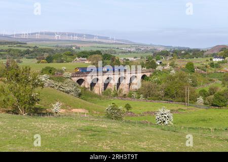 Scottrail classe 156 2 treno Sprinter carrozza che attraversa Crawick viaduct (Sanquhar, Dumfries e Galloway) ferrovia panoramica rurale Foto Stock