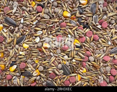 Cibo per roditori da avena, pellet d'erba, mangimi per animali, mais, grano isolato su sfondo bianco Foto Stock