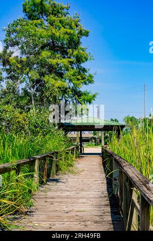 Una passerella di legno attraversa il Chickasaw Creek a Brooks Park Landing, 12 agosto 2023, a Chickasaw, Alabama. Foto Stock