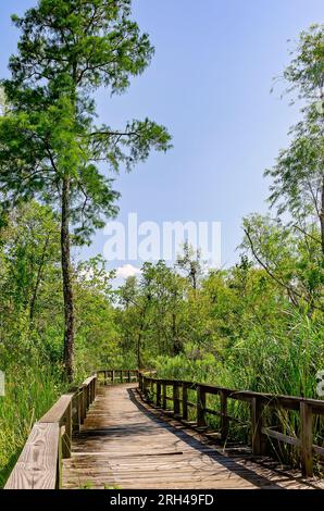 Una passerella di legno attraversa il Chickasaw Creek a Brooks Park Landing, 12 agosto 2023, a Chickasaw, Alabama. Foto Stock