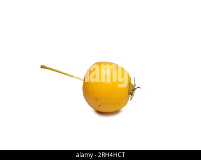 varietà precoce di mele. Piccole mele gialle su sfondo bianco. Isola di frutta estiva. Oro cinese. Foto Stock