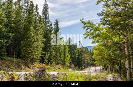 Panorama montano sul tramonto nebbioso lungo la Squa Pass Road vicino all'Echo Lake Park, Colorado Foto Stock