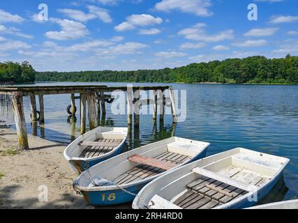 Strausberg, Germania. 11 agosto 2023. C'è un molo a quasi due metri dalle barche sulla riva del lago Straussee. Il lago ha perso metà della sua acqua per circa dieci anni. Dal 2014, il livello dell'acqua è calato di circa 20 centimetri ogni anno. La causa della perdita d'acqua è sconosciuta. E' stata commissionata una perizia in materia. Credito: Patrick Pleul/dpa/Alamy Live News Foto Stock