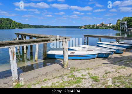 Strausberg, Germania. 11 agosto 2023. C'è un molo a quasi due metri dalle barche sulla riva del lago Straussee. Il lago ha perso metà della sua acqua per circa dieci anni. Dal 2014, il livello dell'acqua è calato di circa 20 centimetri ogni anno. La causa della perdita d'acqua è sconosciuta. E' stata commissionata una perizia in materia. Credito: Patrick Pleul/dpa/Alamy Live News Foto Stock