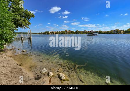 Strausberg, Germania. 11 agosto 2023. Un traghetto via cavo attraversa il lago Straus. Il lago ha perso metà della sua acqua per circa dieci anni. Dal 2014, il livello dell'acqua è calato di circa 20 centimetri ogni anno. La causa della perdita d'acqua è sconosciuta. E' stata commissionata una perizia in materia. Credito: Patrick Pleul/dpa/Alamy Live News Foto Stock