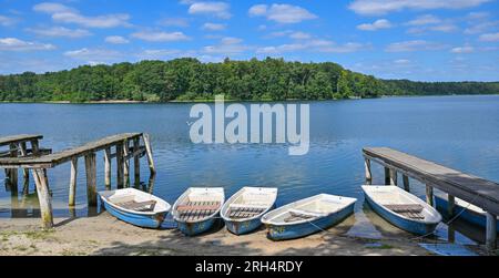 Strausberg, Germania. 11 agosto 2023. C'è un molo a quasi due metri dalle barche sulla riva del lago Straussee. Il lago ha perso metà della sua acqua per circa dieci anni. Dal 2014, il livello dell'acqua è calato di circa 20 centimetri ogni anno. La causa della perdita d'acqua è sconosciuta. E' stata commissionata una perizia in materia. Credito: Patrick Pleul/dpa/Alamy Live News Foto Stock