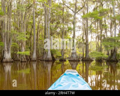 Kayak nel Caddo Lake State Park, Texas Foto Stock
