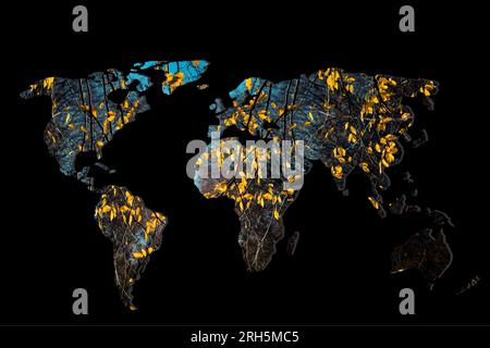 Mappa del mondo con il riempimento di foglie d'autunno asciutte Foto Stock