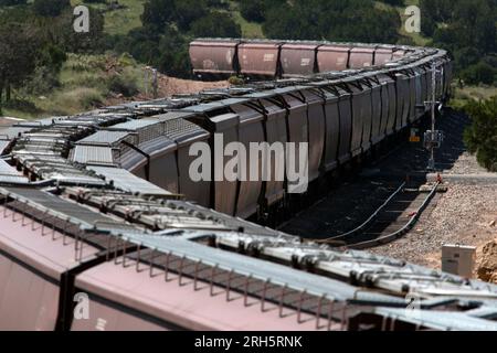 I vagoni ferroviari serpeggiano attraverso i binari curvi Foto Stock