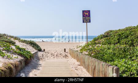 Sentiero a piedi per il passaggio pubblico della spiaggia senza cani ammessi cartello tra la vegetazione delle dune di sabbia verso l'orizzonte blu del mare. Foto Stock