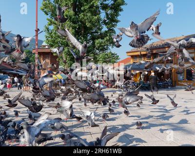 I piccioni scivolano di fronte alla fontana Sebilj nel quartiere Baščaršija di Sarajevo, Bosnia ed Erzegovina, 14 agosto 2023. Foto Stock