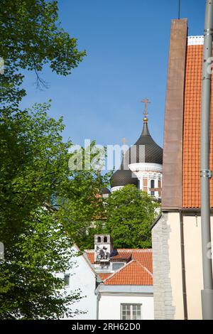 Scena di strada nella città vecchia di Tallinn, Estonia Foto Stock