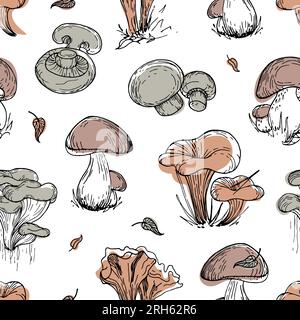 Schema di funghi commestibili. Illustrazione botanica d'epoca. Oggetti grafici in tonalità naturali e alla moda. Nello stile di schizzo. Per caffè, cibo sano de Illustrazione Vettoriale