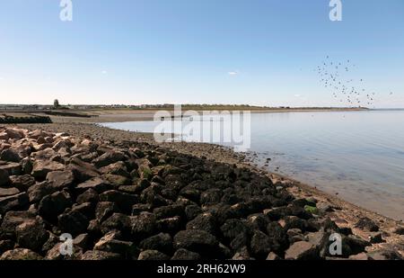 Guardando ad ovest, verso la spiaggia di Studd Hill, dai resti di Hampton Pier, Herne Bay, Kent Foto Stock