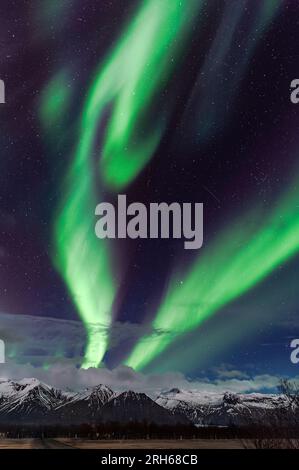 Vicino a Kirkjubæjarklaustur, Islanda meridionale: Il cielo notturno con stelle cadenti e una spettacolare esposizione dell'aurora boreale (Aurora boreale) Foto Stock