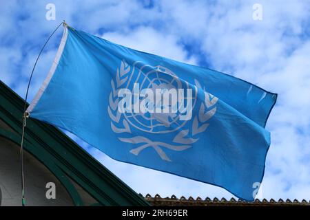 Bandiera ONU che sventola nel vento di fronte a un cielo blu con nuvole bianche. Emblema ufficiale delle Nazioni Unite. Concetto di pace nel mondo Foto Stock