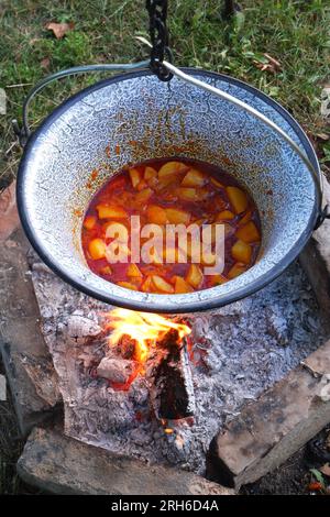 Paprika ungherese, paprikás krumpli, cottura in pentola, bogracs, davanti a un fuoco aperto, Ungheria Foto Stock