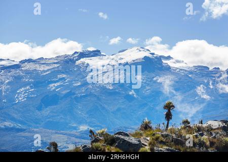 Bella vista del Parco Nazionale di El Cocuy, Colombia, Sud America Foto Stock