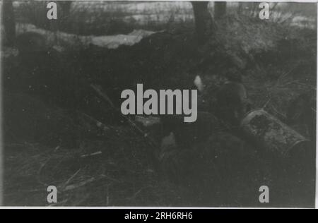 Fotografo delle SS, Grönert, Hermann (Totenkopf, Russia e Italia 1943) dimostrazione Tiger i agli ufficiali giapponesi; azione di combattimento invernale con halftrack, cannone antiproiettile montato sull'halftrack, e StuG III; popolazione russa; molte foto di azione di combattimento della fanteria in Russia con Tiger IS, StuG, Marder e cannoni anticarro; carri armati russi distrutti e catturati; prigionieri di guerra russi; soldati che svuotano le mine; armi d'assalto e Tiger è con la fanteria in Italia, addestramento della fanteria con mortai e un fiume che attraversa lo schwimmwagen Foto Stock