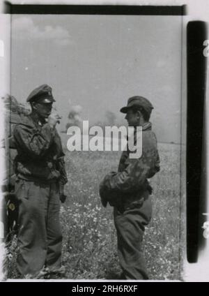 Fotografo delle SS, Grönert, Hermann (Totenkopf, Russia e Italia 1943) dimostrazione Tiger i agli ufficiali giapponesi; azione di combattimento invernale con halftrack, cannone antiproiettile montato sull'halftrack, e StuG III; popolazione russa; molte foto di azione di combattimento della fanteria in Russia con Tiger IS, StuG, Marder e cannoni anticarro; carri armati russi distrutti e catturati; prigionieri di guerra russi; soldati che svuotano le mine; armi d'assalto e Tiger è con la fanteria in Italia, addestramento della fanteria con mortai e un fiume che attraversa lo schwimmwagen Foto Stock