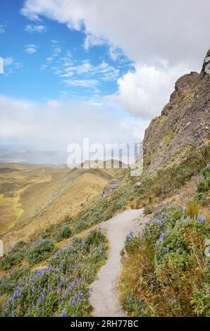 Sentiero per il vulcano Ruminahui, il Parco Nazionale Cotopaxi, Ecuador. Foto Stock