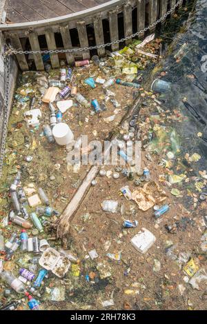 Bottiglie di plastica, imballaggi alimentari e barattoli gettati in un molo a Salford Quays, Greater Manchester, Inghilterra, Regno Unito Foto Stock