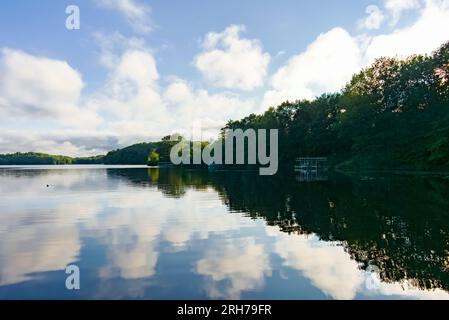 Preso nella contea di Washburn, Wisconsin. Foto Stock