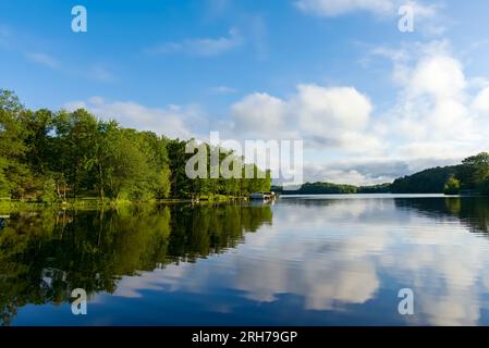 Preso nella contea di Washburn, Wisconsin. Foto Stock