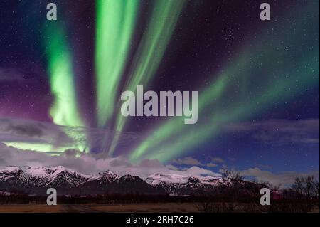 Vicino a Kirkjubæjarklaustur, Islanda meridionale - il cielo notturno con una spettacolare esposizione dell'aurora boreale (l'aurora boreale) Foto Stock