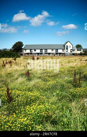 Sviluppo abitativo contemporaneo a Layton, Blackpool Foto Stock