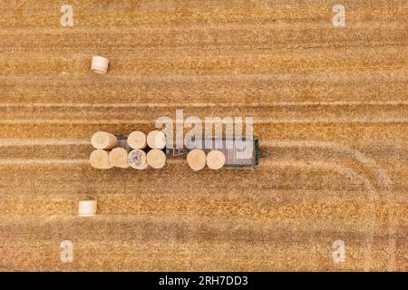 Balle di fieno immagazzinate su due rimorchi su un campo agricolo raccolto in estate, vista dall'alto dal punto di vista dei droni, Germania Foto Stock