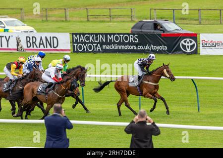 Corse di cavalli sull'erba dell'ippodromo di Ayr, in Scozia Foto Stock