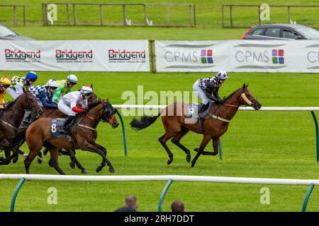 Corse di cavalli sull'erba dell'ippodromo di Ayr, in Scozia Foto Stock