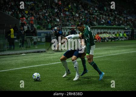 San Paolo, San Paolo, Brasile. 14 agosto 2023. San Paolo (SP), 08/14/2023 - BRAZILEIRO/PALMEIRAS X CRUZEIRO - partita tra Palmeiras e Cruzeiro, valida per il 19° round del Campionato brasiliano di calcio 2023, tenutosi presso Allianz Parque, nella zona ovest di San Paolo, nella notte di questo lunedì 14 agosto 2023. (Immagine di credito: © Ronaldo Barreto/TheNEWS2 via ZUMA Press Wire) SOLO USO EDITORIALE! Non per USO commerciale! Foto Stock