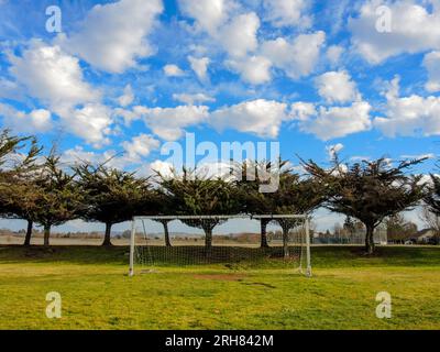 Un obiettivo di calcio si trova sullo sfondo di alberi e nuvole, colmando il divario tra attività ricreative umane e attività all'aperto, competizione e tranquillità. Foto Stock
