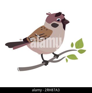 Divertente uccello Sparrow. Illustrazione vettoriale di un passero di campo, carattere sfumato. Stampa carina in stile cartone animato piatto. Isolato su sfondo bianco Illustrazione Vettoriale