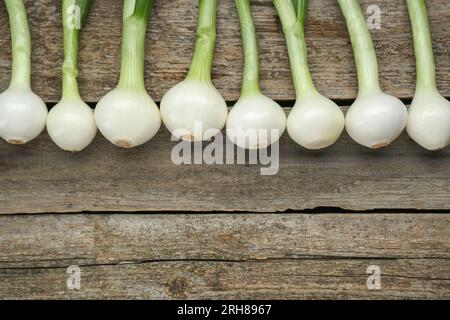 Cipolle verdi intere su tavola di legno, distesa piatta. Spazio per il testo Foto Stock