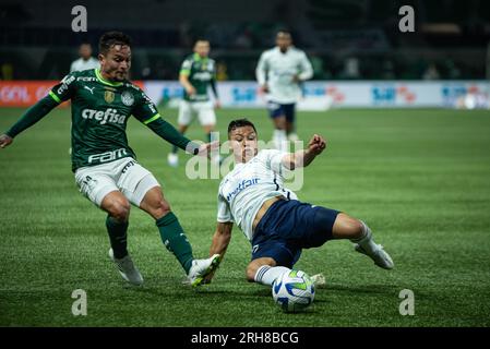 San Paolo, San Paolo, Brasile. 14 agosto 2023. San Paolo (SP), 08/14/2023 - BRAZILEIRO/PALMEIRAS X CRUZEIRO - partita tra Palmeiras e Cruzeiro, valida per il 19° round del Campionato brasiliano di calcio 2023, tenutosi presso Allianz Parque, nella zona ovest di San Paolo, lunedì 14 agosto 2023. (Immagine di credito: © Ronaldo Barreto/TheNEWS2 via ZUMA Press Wire) SOLO USO EDITORIALE! Non per USO commerciale! Foto Stock