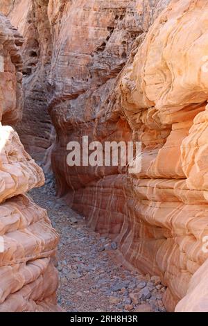 In slot canyon verticale - Valley of Fire State Park, Nevada Foto Stock