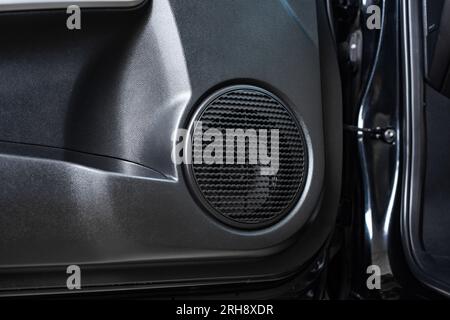 Primo altoparlante per auto sul pannello della portiera dell'auto. Sistema audio per auto. Foto Stock