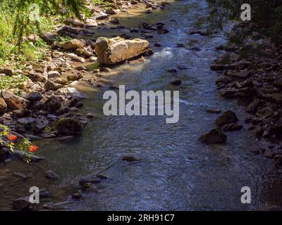 Piccolo fiume che scorre rapidamente e vividamente attraverso la sua valle rocciosa selvaggia Foto Stock