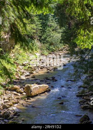 Piccolo fiume che scorre rapidamente e vividamente attraverso la sua valle rocciosa selvaggia Foto Stock
