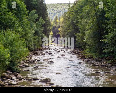 Piccolo fiume che scorre rapidamente e vividamente attraverso la sua valle rocciosa selvaggia Foto Stock