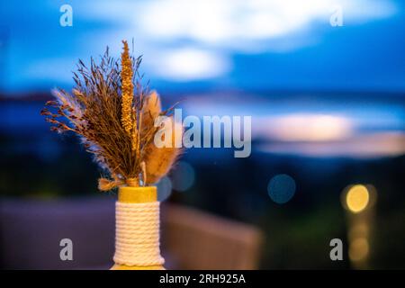 Composizione minimalista di fiori secchi in vaso cilindrico in ceramica come decorazione domestica Foto Stock