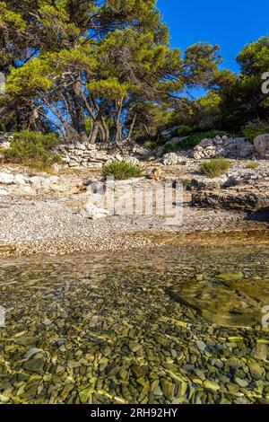 La spiaggia di ciottoli sull'isola di Kaprije, il mare Adriatico in Croazia Foto Stock